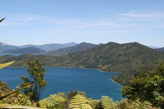 Queen Charlotte Track views