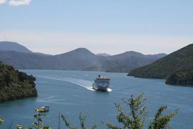 ferry wellington to picton