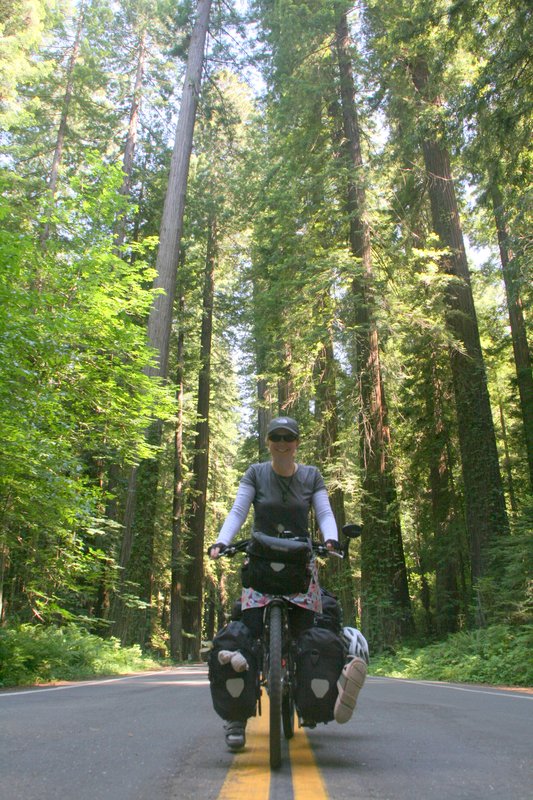 peli and the redwoods