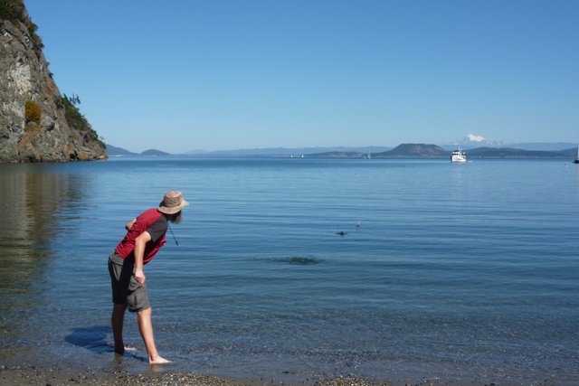 skipping stones