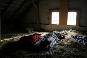 sleeping in hay