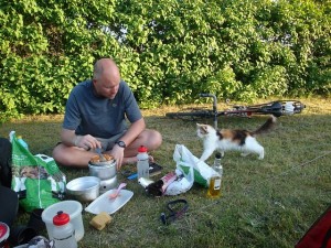 woolly cooking cat