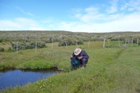 filtering water with katadyn pocket