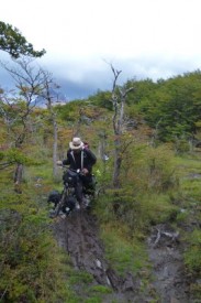 crossing villa ohiggins track