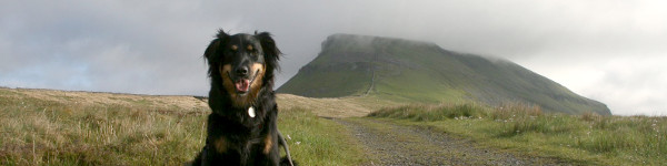 tilley on pen-y-ghent