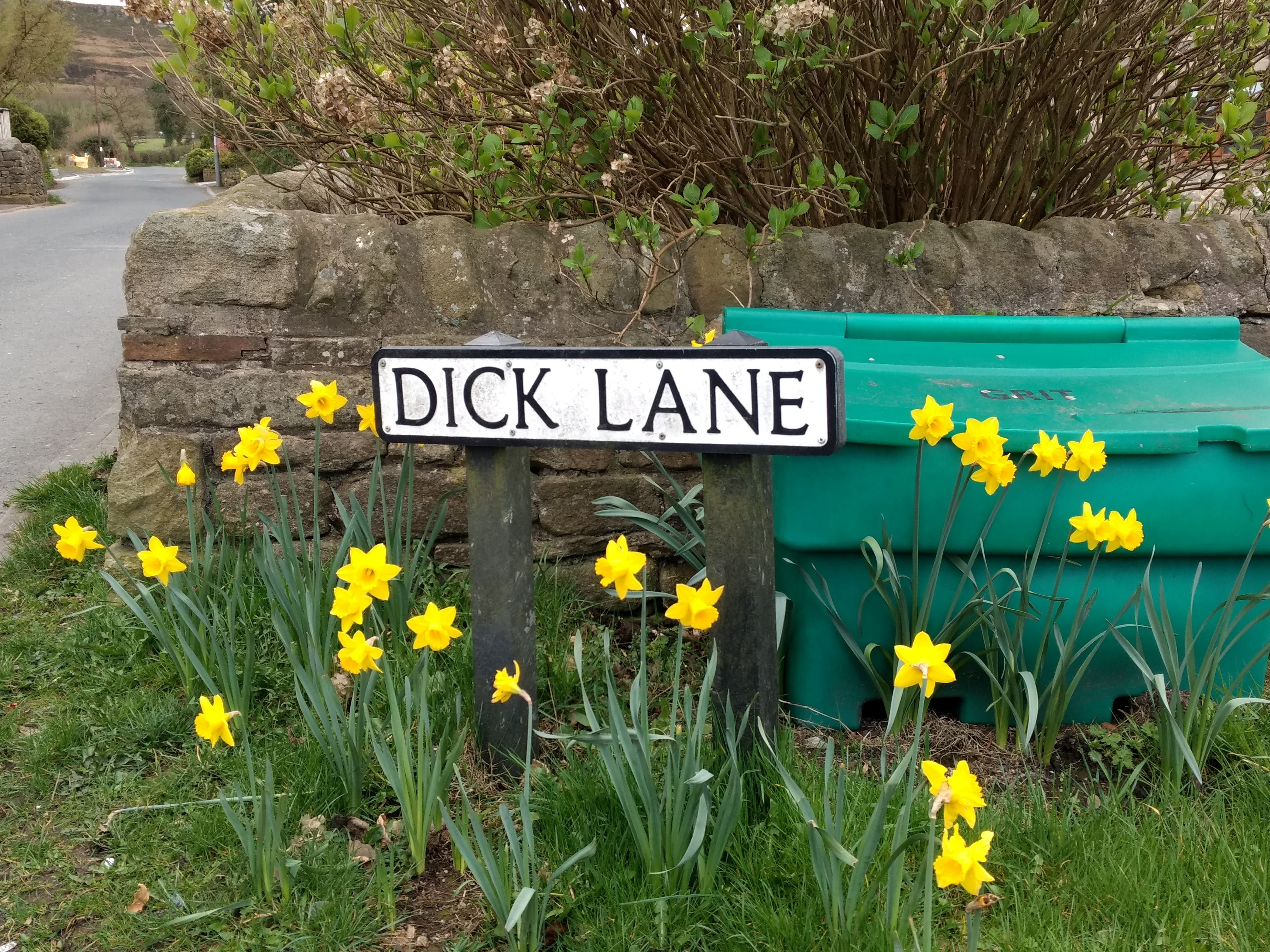 Dick Lane