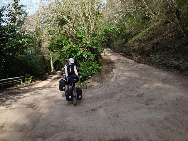 Welsh Bickor drive way 