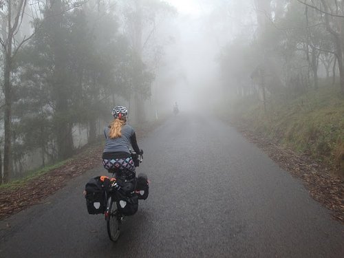 the blue mountains morning mist