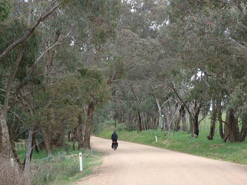 cycling in the bush