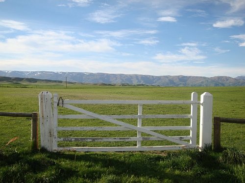 otago rail trail fence