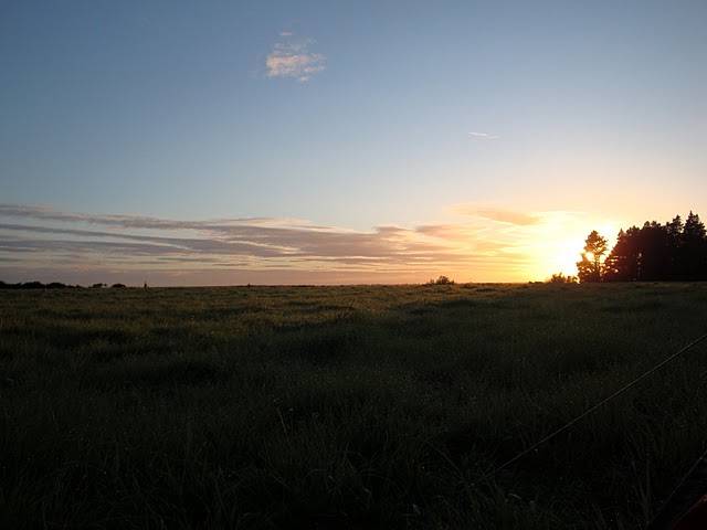 sunrise in new zealand