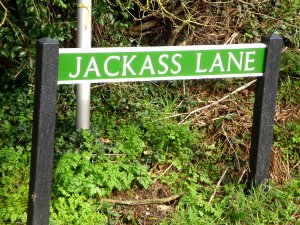 jackass lane