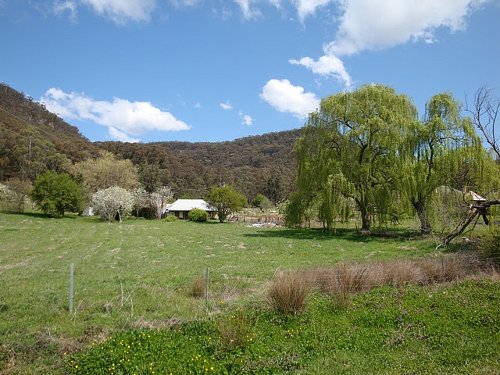 blue mountains farm