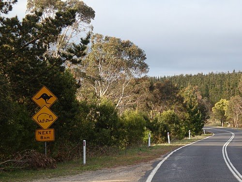 road signs in australia