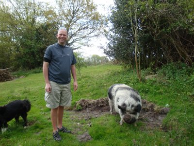 woollypigs meet a woolly pig